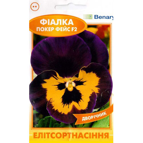 Фіалка Покер Фейс Елітсорт зображення 1 артикул 90855