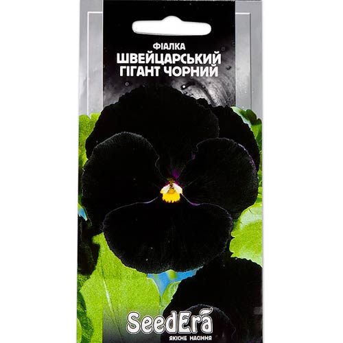 Фіалка Швейцарський гігант чорний Seedera зображення 1 артикул 77113