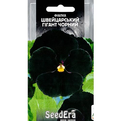 Фіалка Швейцарський гігант, суміш забарвлень Seedera зображення 1 артикул 66290