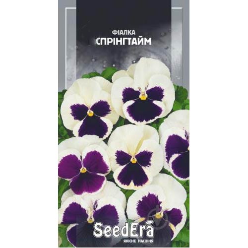 Фіалка Спрінгтайм Seedera зображення 1 артикул 89995