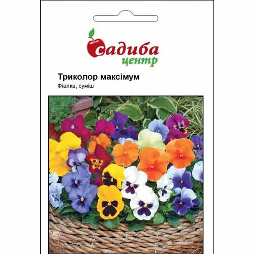 Фиалка Триколор Максимум F2, смесь окрасок рисунок 1 артикул 77107