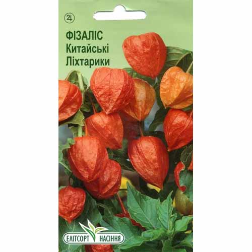 Фізаліс Китайські ліхтарики Елітсорт артикул фото 1 Фізаліс Китайські ліхтарики Елітсорт зображення 1 артикул 85968