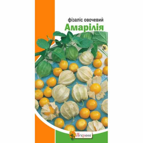 Фізаліс овочевий Амарілія зображення 1 артикул 72627