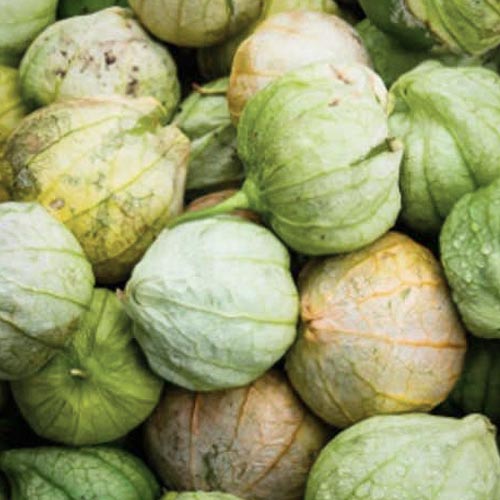 Фізаліс овочевий, насіння зображення 3 артикул 65504