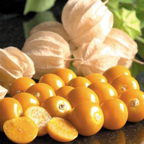 Фізаліс овочевий зображення 1 артикул 72626