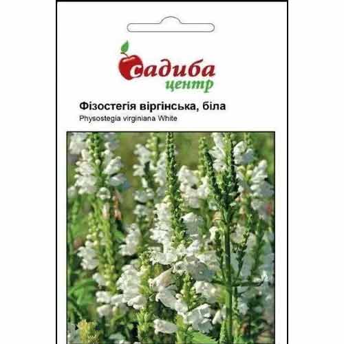 Физостегия белая Садыба центр рисунок 1 артикул 90773