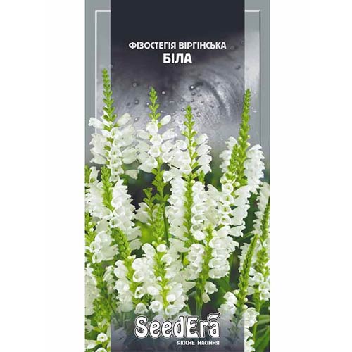 Фізостегія Віргінська біла Seedera артикул фото 1 Фізостегія Віргінська біла Seedera зображення 1 артикул 77114