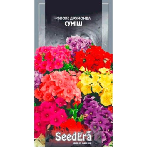Флокс Друммонда, смесь окрасок Seedera рисунок 1 артикул 66293