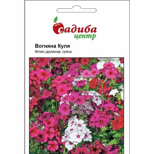 Флокс друмонді Вогняна куля, суміш забарвлень Садиба центр зображення 1 артикул 87643