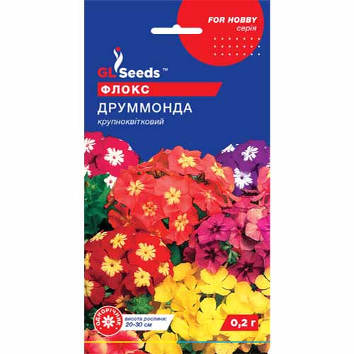 Флокс Друмонда GL Seeds зображення 1 артикул 85877