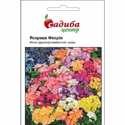 Флокс друмонді Яскрава Феєрія, суміш забарвлень Садиба центр зображення 1 артикул 72784