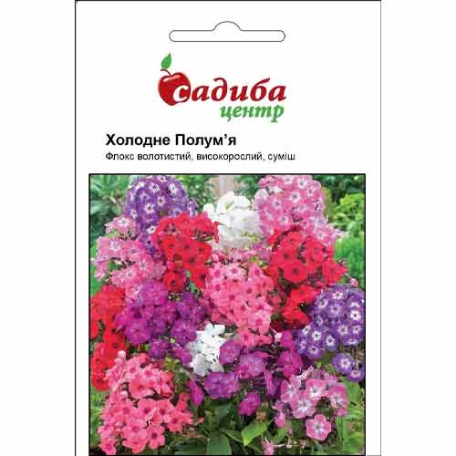 Флокс Холодне полум'я, суміш забарвлень Садиба центр зображення 1 артикул 72905