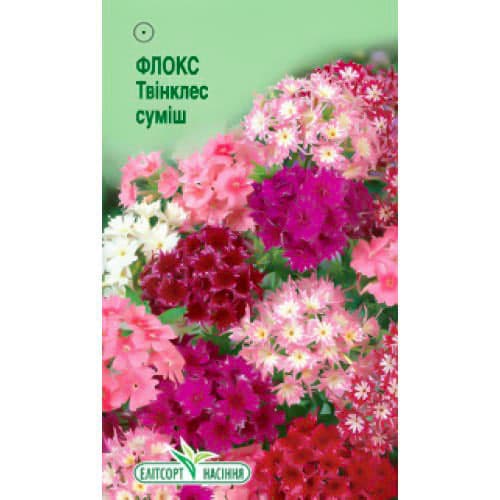 Флокс Друммонда Твинклес, смесь окрасок Элитсорт рисунок 1 артикул 95125