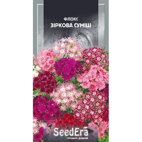 Флокс Друммонда Звездный, смесь окрасок Seedera      рисунок 1 артикул 94988