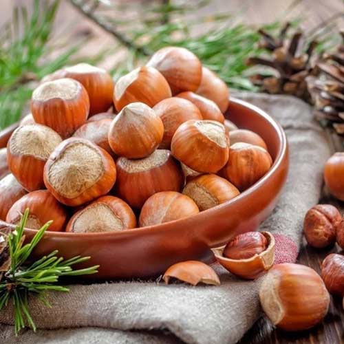 Фундук Шедевр рисунок 1 артикул 7452