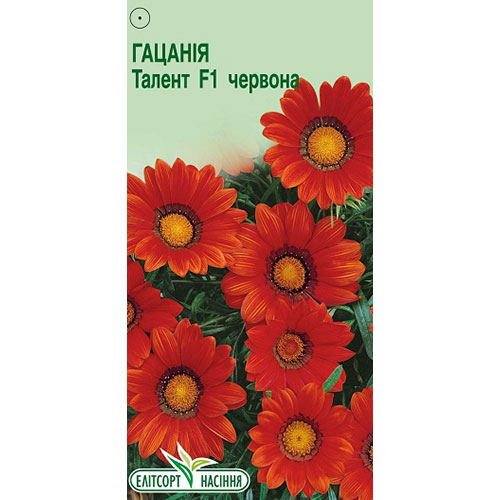 Газанія Талент червона F1 Елітсорт зображення 1 артикул 90569