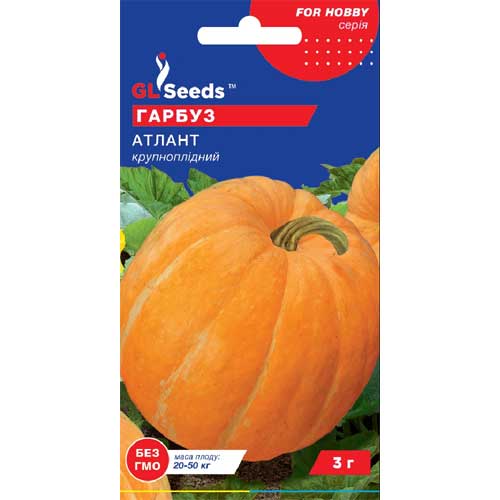 Тыква Атлант GL Seeds рисунок 1 артикул 85632