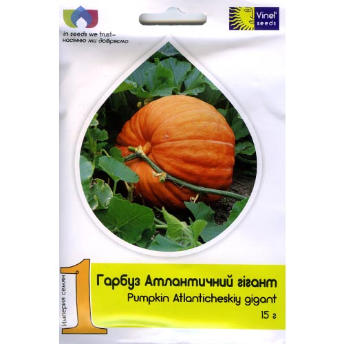 Гарбуз Атлантичний гігант Vinel seeds зображення 1 артикул 95507
