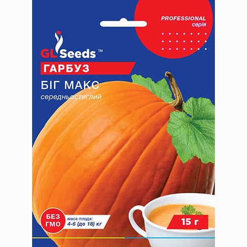 Гарбуз Біг Макс GL Seeds артикул фото 1 Гарбуз Біг Макс GL Seeds зображення 1 артикул 99590