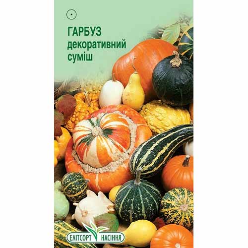 Гарбуз декоративна, суміш забарвлень Елітсорт зображення 1 артикул 85938