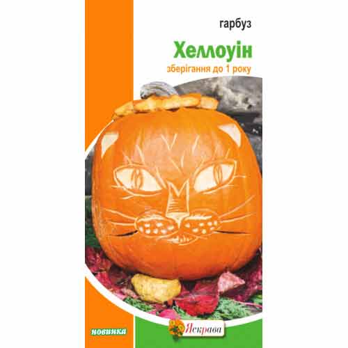 Тыква Хэллоуин Яскрава артикул фото 1 Тыква Хэллоуин Яскрава рисунок 1 артикул 99829