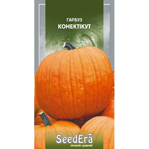 Гарбуз Конектікут Seedera зображення 1 артикул 95007