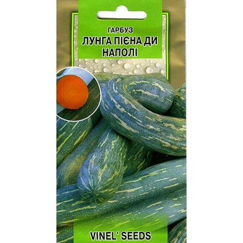 Гарбуз Лунга Піена ді Наполі Vinel seeds зображення 1 артикул 96182