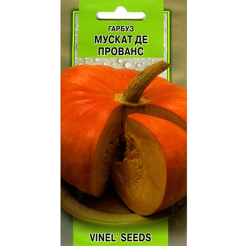 Гарбуз Мускат де прованс Vinel seeds зображення 1 артикул 95512