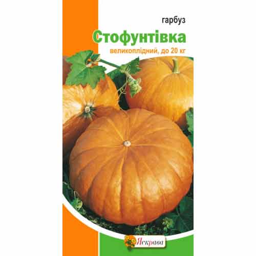 Гарбуз Стофунтівка Яскрава зображення 1 артикул 99826