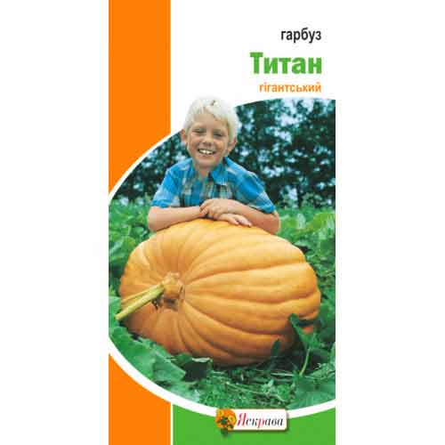 Гарбуз Титан Яскрава зображення 1 артикул 99827