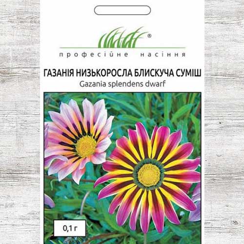 Газания блестящая, смесь окрасок рисунок 1 артикул 90292