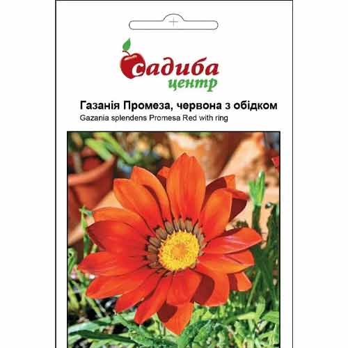 Газанія Промеза червона Садиба центр зображення 1 артикул 89141