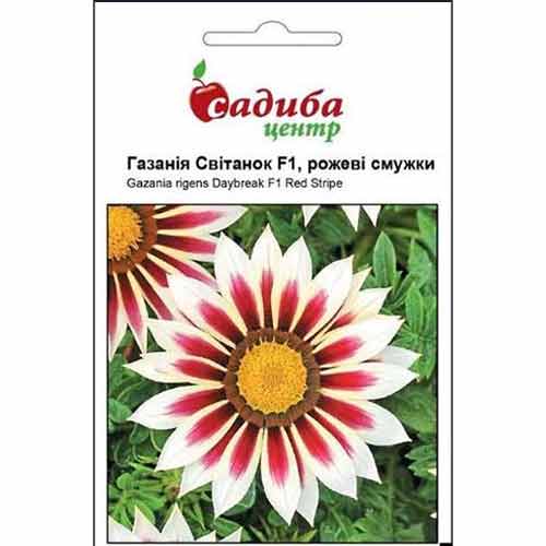 Газанія Світанок Рожеві смужки F1 Садиба центр зображення 1 артикул 89142