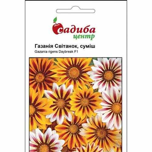Газания Рассвет, смесь окрасок Садиба центр рисунок 1 артикул 89145
