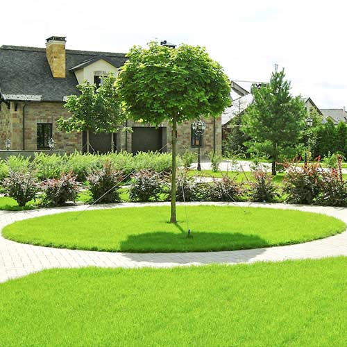 Газонна травосуміш Англійський Сад Seedera зображення 1 артикул 73110