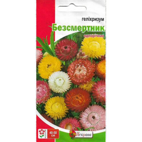 Гелихризум Бессмертник, смесь окрасок Яскрава рисунок 1 артикул 72131