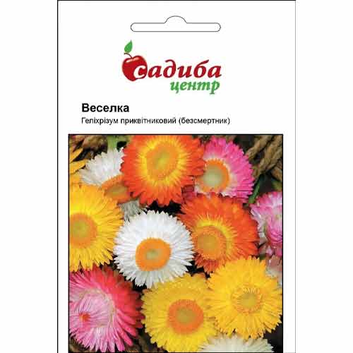 Гелихризум (бессмертник) Радуга, смесь окрасок Садиба центр рисунок 1 артикул 89184