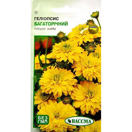Гелиопсис Seedera артикул фото 1 Гелиопсис Seedera рисунок 1 артикул 66398