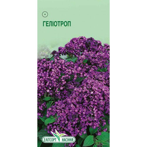 Гелиотроп Марине Элитсорт рисунок 1 артикул 90842