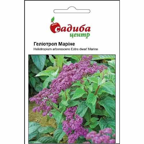 Гелиотроп Марине Садыба центр артикул фото 1 Гелиотроп Марине Садыба центр рисунок 1 артикул 89182