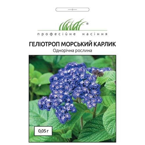 Гелиотроп Морской карлик Профессиональные семена рисунок 1 артикул 95142