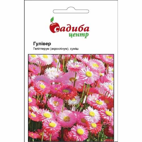 Геліптерум Розеум Гулівер, суміш забарвлень Садиба центр артикул фото 1 Геліптерум Розеум Гулівер, суміш забарвлень Садиба центр зображення 1 артикул 89183