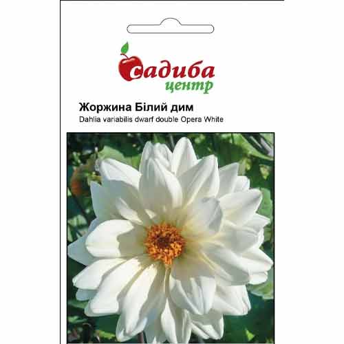 Георгина Белый дым Садыба центр рисунок 1 артикул 89210