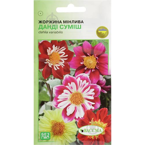 Георгина Денди, смесь окрасок Seedera артикул фото 1 Георгина Денди, смесь окрасок Seedera рисунок 1 артикул 77006