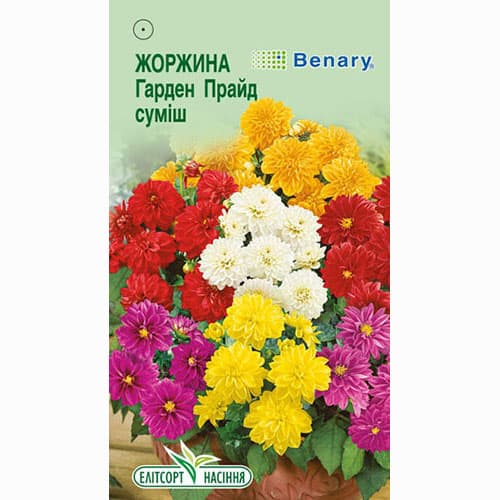 Георгина Гарден Прайд, смесь окрасок Элитсорт Элитсорт рисунок 1 артикул 90577