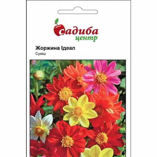 Жоржина Ідеал, суміш забарвлень Садиба центр зображення 1 артикул 89213