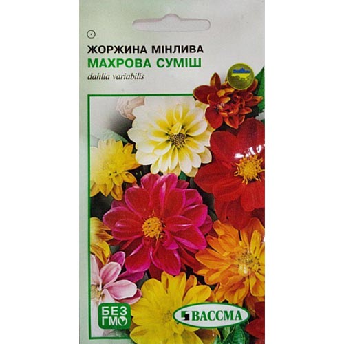 Георгина Махровая, смесь окрасок Seedera рисунок 1 артикул 66270