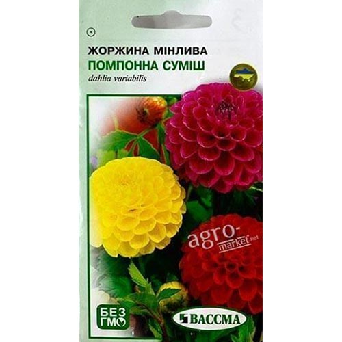 Георгина Помпонная, смесь окрасок Seedera рисунок 1 артикул 66271