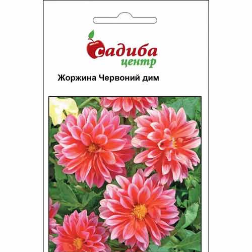 Жоржина Червоний Дим Садиба центр зображення 1 артикул 89216