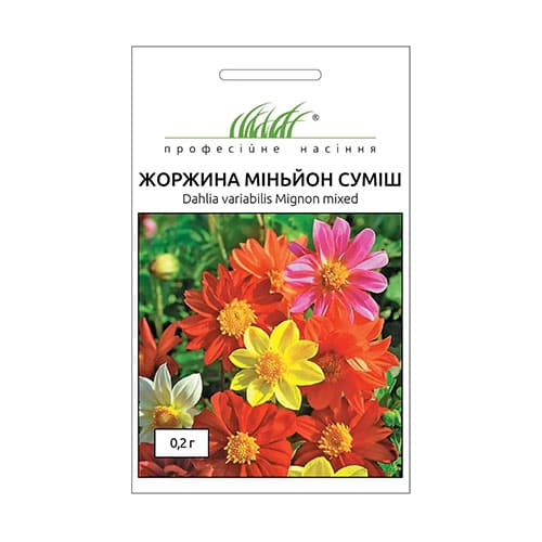 Георгина Миньон, смесь окрасок Профессиональные семена рисунок 1 артикул 72174